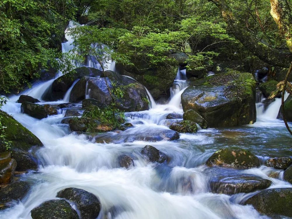 顺昌华阳山:传闻山中有"仙灵"之气,来到这里的人会变得"佛系"!