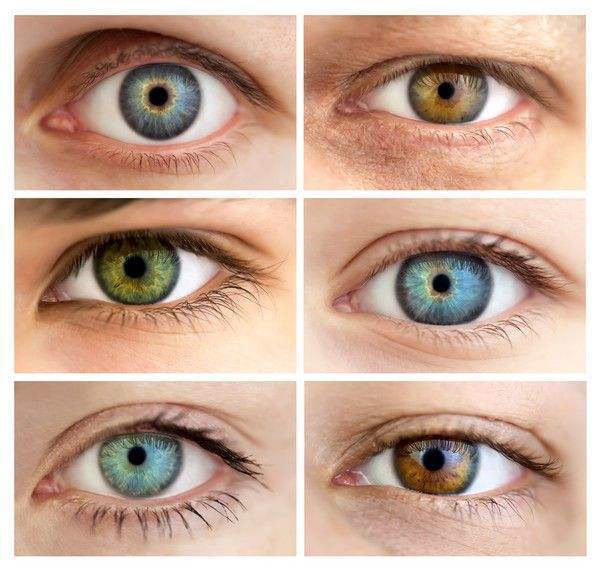 人类的各种独特颜色眼睛