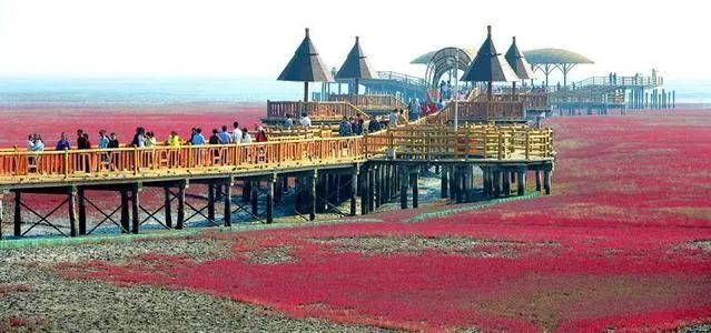 辽宁盘锦红海滩国家风景廊道晋升5a级旅游景区,是独一无二的"世界