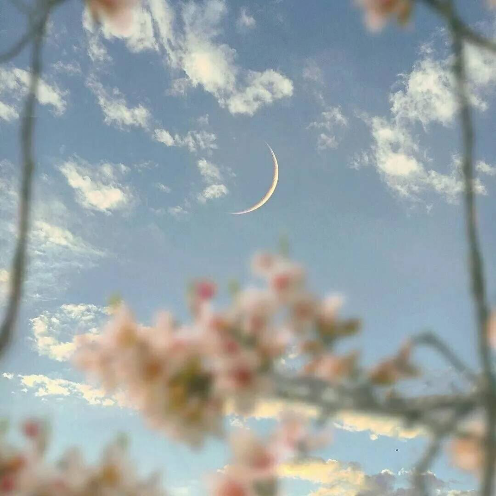 背景图:假装抬头仰望天空的美丽,其实只是不想让眼泪泪流出来!