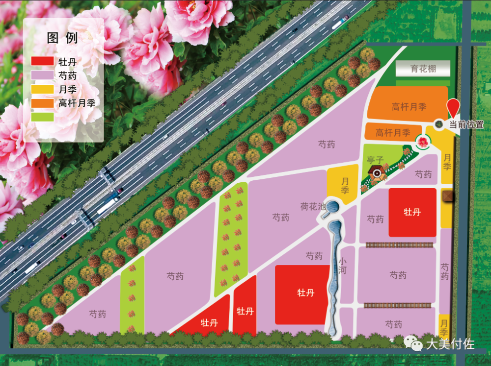 该项目从2019年开始建设,先后投资80余万元,规划建设有牡丹园,芍药园