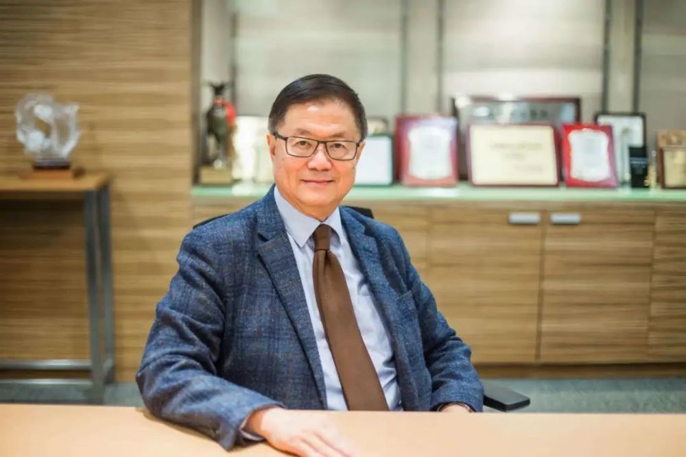 崇邦集团董事长_崇达集团图标