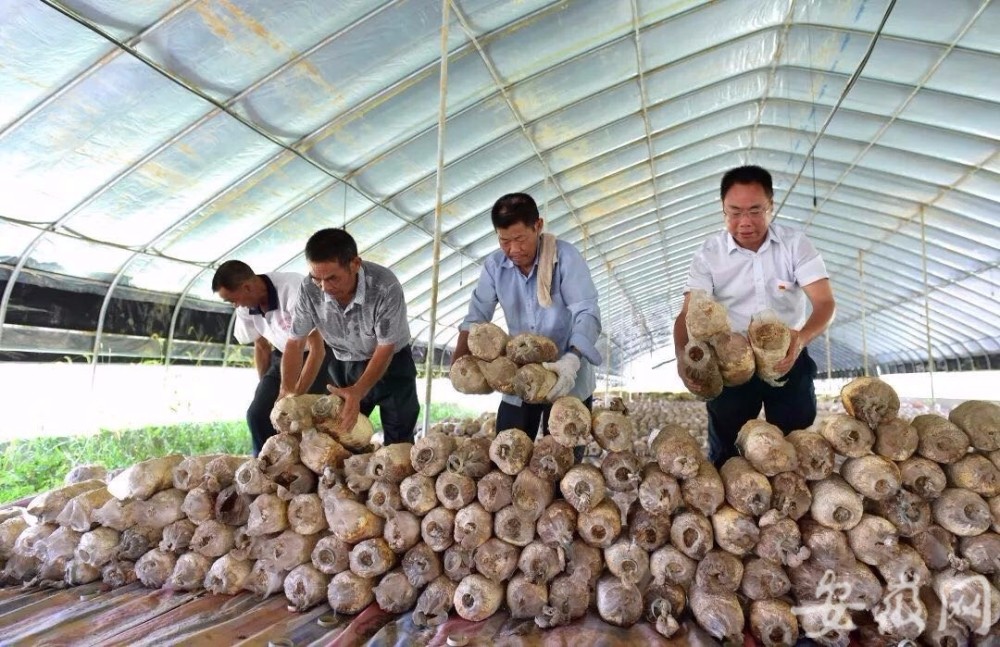 兴福镇哪个村人口最多_哪个地方人口最多