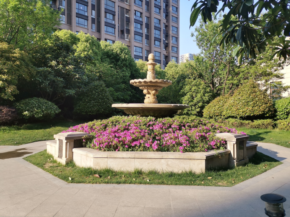 景观花坛,小池塘,各种花草植物,仿佛就是一个小公园.