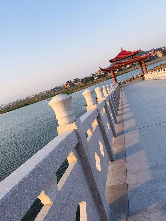 莆田竟然有个美丽的土海湿地公园!