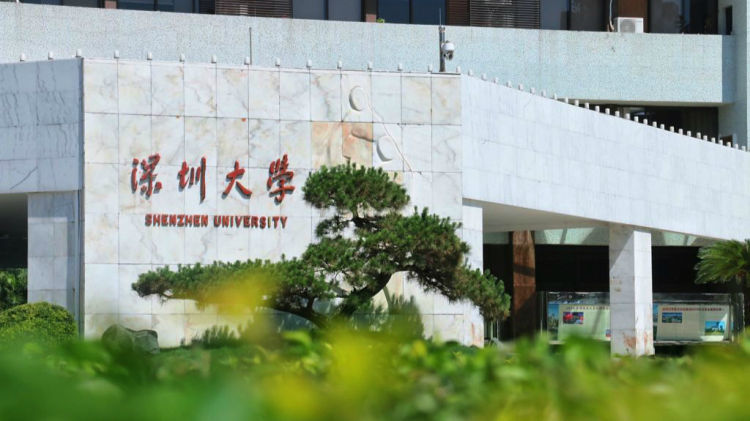 深大的排名_深大宿舍