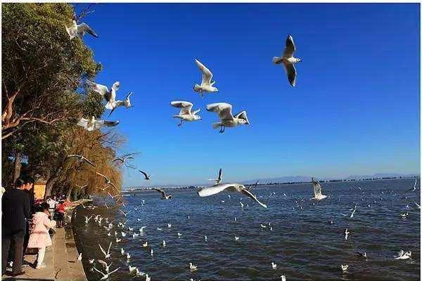 太原gdp目标_太原地铁(3)