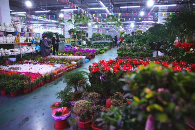 明日 辽源又一处花鸟鱼市场开业
