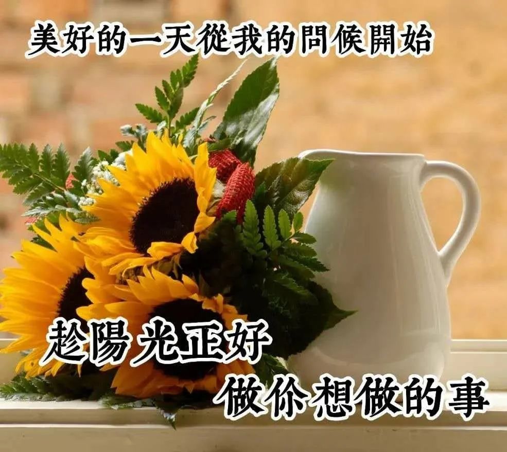 中老年表情包,真诚的问候,为你在新的一天加油!