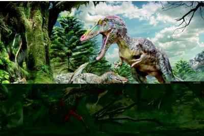 对于本土恐龙你了解多少?盘点中生代时期，出现在中国境内的恐龙!