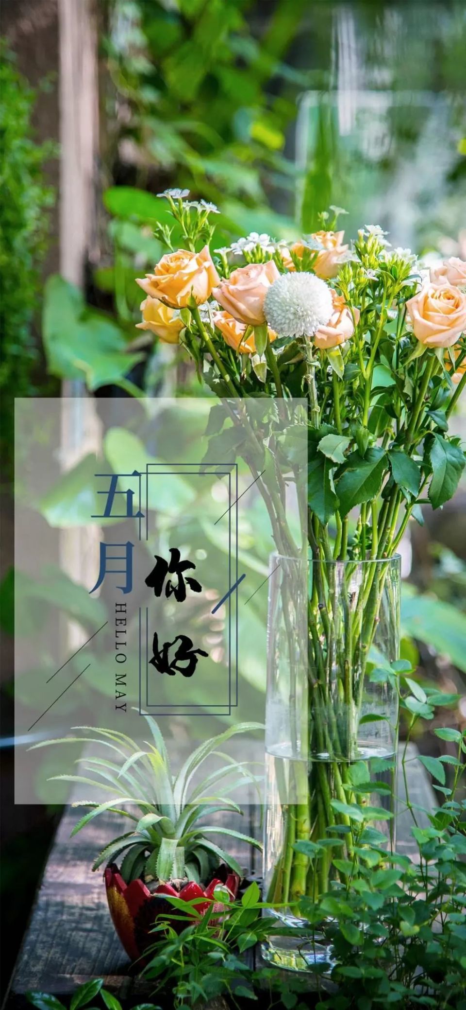 四月再见,五月你好的早上好早安励志正能量语录句子早安励志心语日签