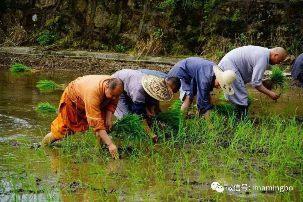 劳动的后面,紧跟着幸福