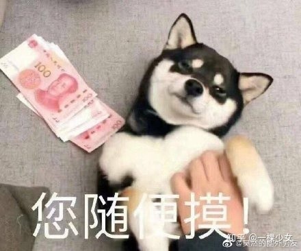 适合情侣聊天的表情包,可爱又互撩