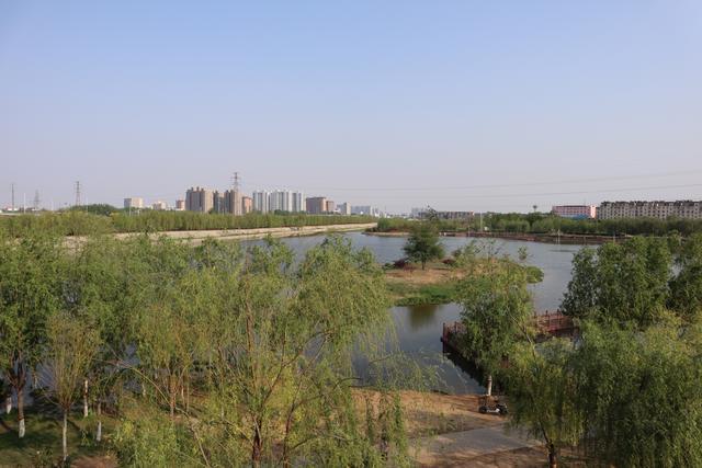 石家庄南水北调的翠屏湿地公园,可眺望巍峨太行,可俯瞰市区风貌