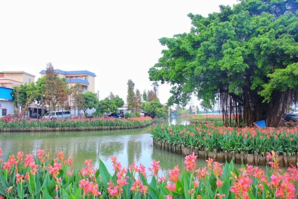 遇见莲洲,爱上旅游!打卡斗门这些美景,都去过了吗?