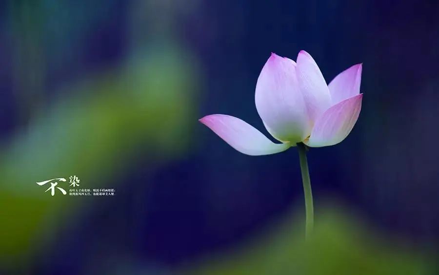 5月,3生肖喜事滚滚来,12月出门遇贵人,钞票铺满地,财来如雨下