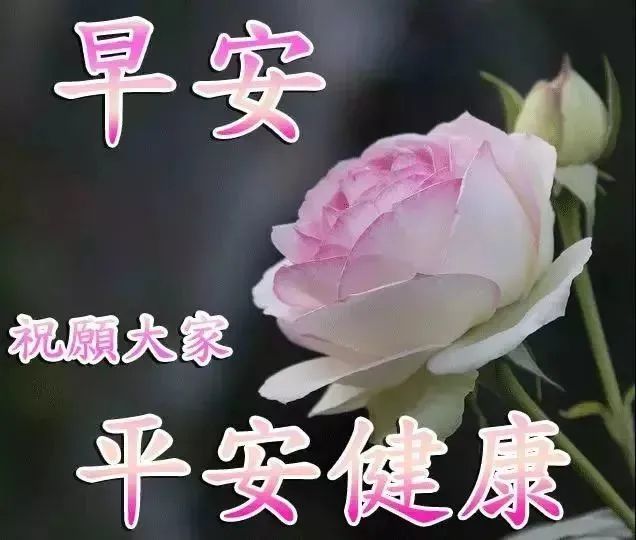 最新早上好问候动态图带字 早安问候图片带字温馨