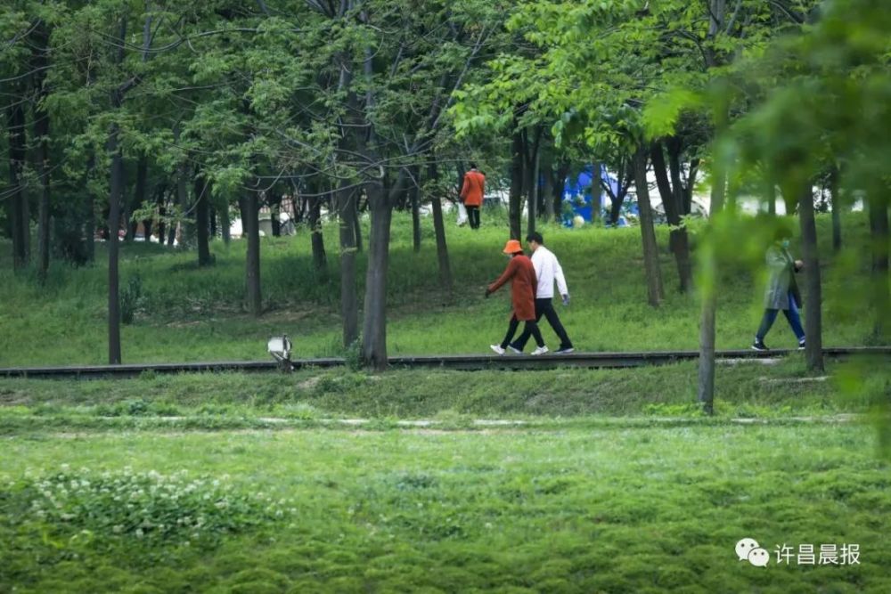 航拍清潩河游园 记者 牛书培 摄