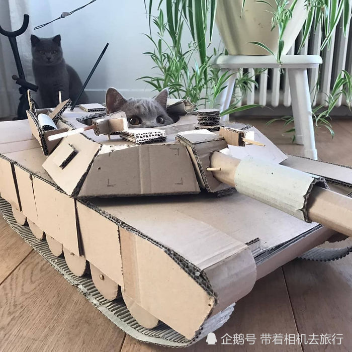 手工坦纸壳制作 腾讯网