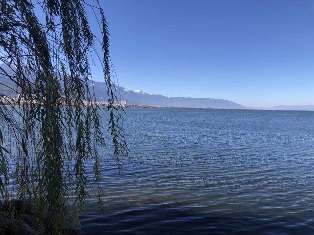 五一假期旅游最美海鸥湖,碧水蓝天景色宜人,是个很不错的旅游之地