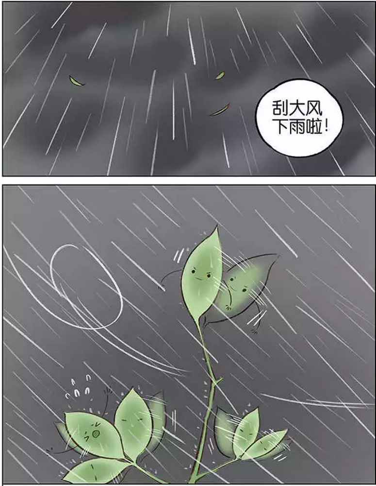 搞笑疯人:树叶哥哥长在最顶端,希望被风刮走,可以飞向天空,却落到积水