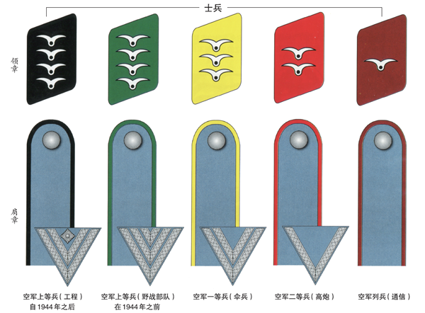 二战德国空军的军衔辨识|军衔|二战德国|领章|肩章|德国空军