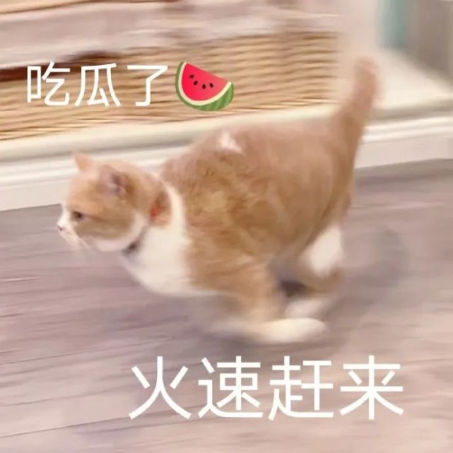 沙雕搞怪表情包 把你这个废物变成我的宝贝就是变废为