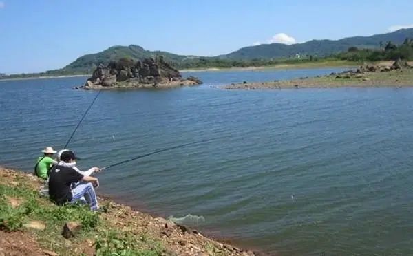 【钓鱼技巧】野钓水库,钓点选择顺口溜,选好位置,多钓鱼