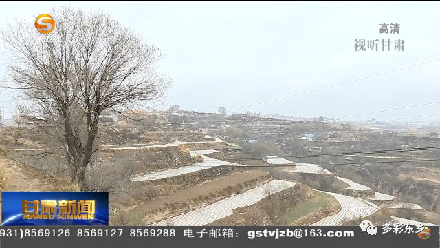 东乡有多少人口(2)