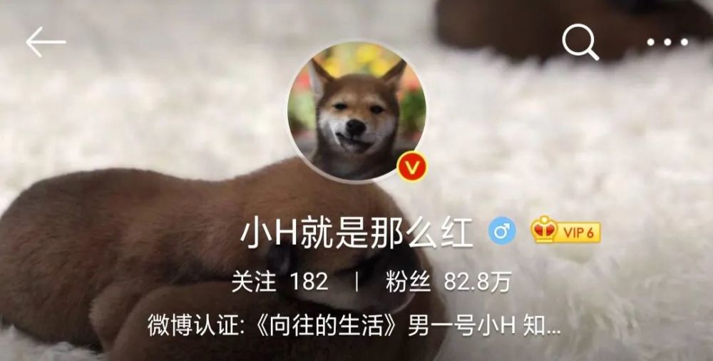 在节目中的各种撒狗粮,简直不要太多. 随时随地的亲亲