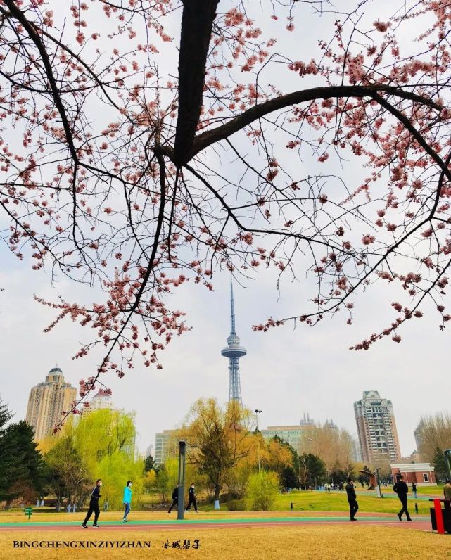 哈尔滨人,到湘江公园走步去!