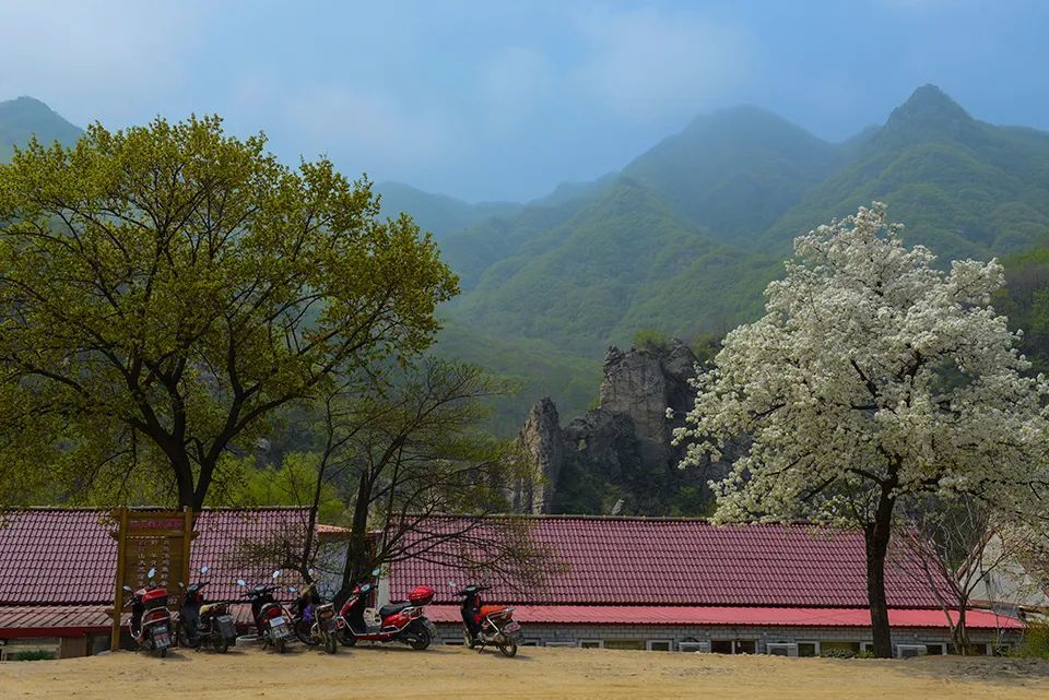 在庄河,有一处向往的乡村生活叫马道口