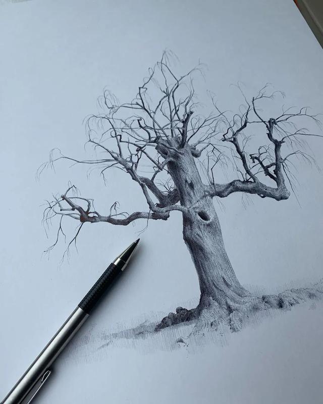 当你觉得画画很轻松的时候,不妨试试先画好一棵树