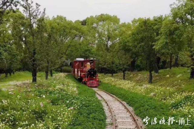 天宫庄园暂跌出榜单,滕头生态旅游区,九峰山旅游区,小普陀景区,达蓬山