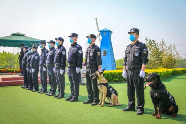 央视五次聚焦云台山！云台山圆满完成五一假日大考！