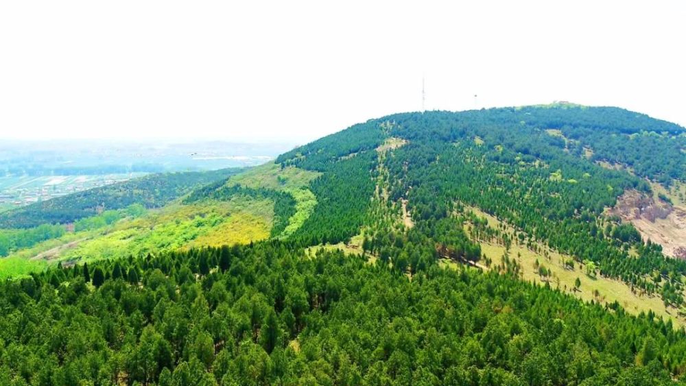 来禹王山,岠山感受山水风光无限好!