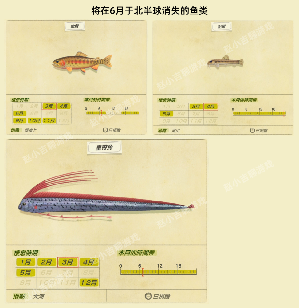 《集合啦!动物森友会》5月鱼类图鉴,