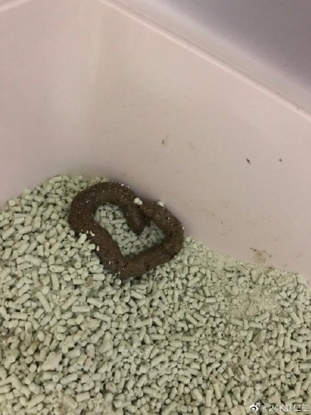 24k虾仁仁 拉的便便都是爱的心形 这能算礼物吧?