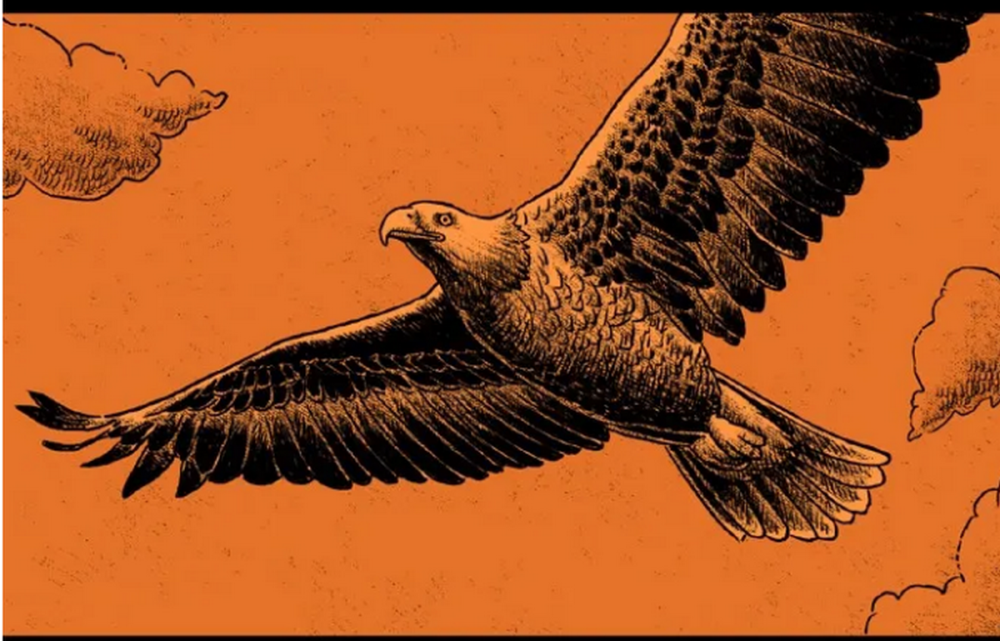 无声漫画:老鹰在空中寻找猎物,被地面的兔子耳朵吸引