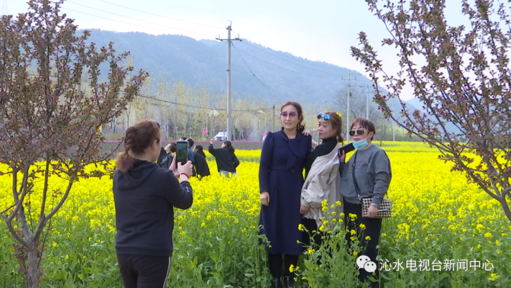 沁水土沃乡南阳村油菜花开带旺农家乐