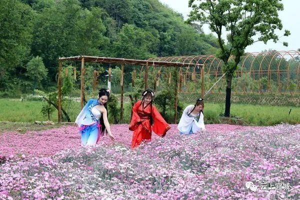 宜城大冲村:发展乡村旅游 助推乡村振兴