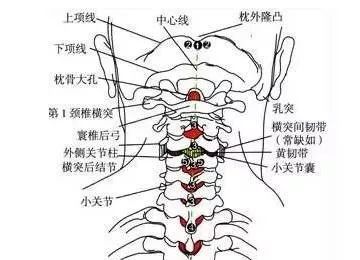 时间:5月20日—5月27日(19日报到) 培训地址:北京 项韧带损伤是常见病