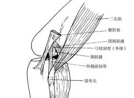 干货| 针刀治疗韧带损伤篇(颈,腰,膝)