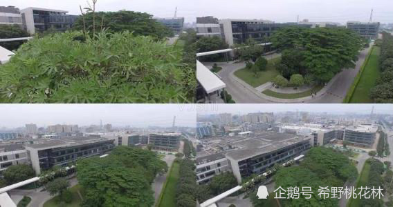 东莞长安gdp_东莞长安