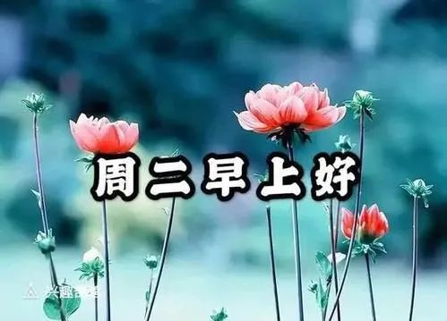 2021初秋微信星期二早晨好祝福语表情动态祝福图 08.