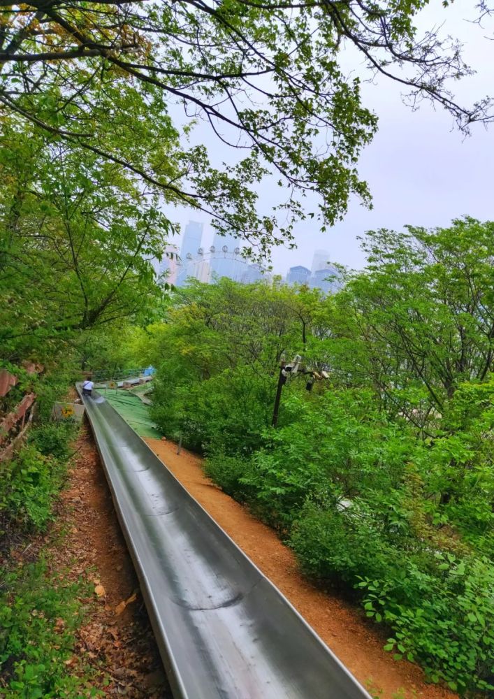 最美大连 绿山观景台