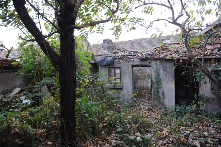 王建业:九龙岗的记忆