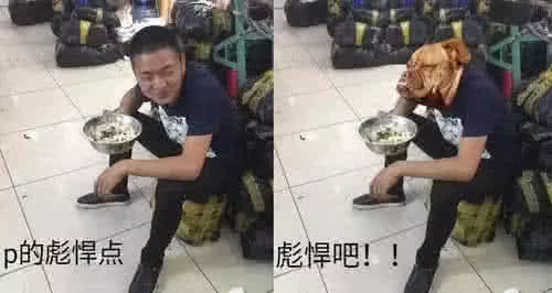 千万别惹