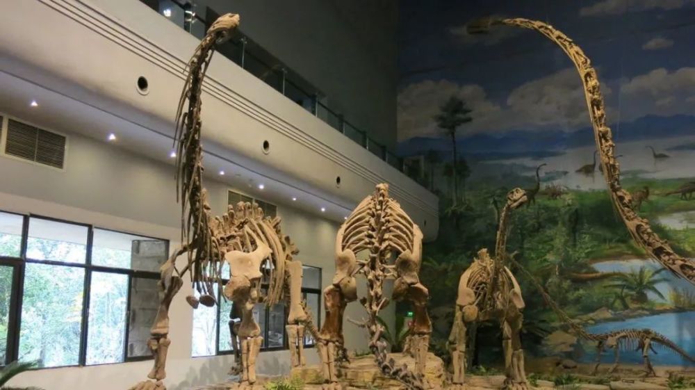 我国第一座专业性恐龙博物馆,五一来自贡,不去看看栩栩如生的恐龙化石