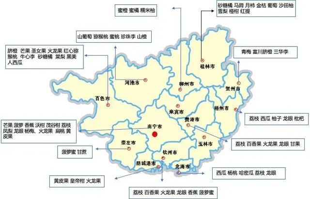 广西全国最大的水果产区不接受反驳